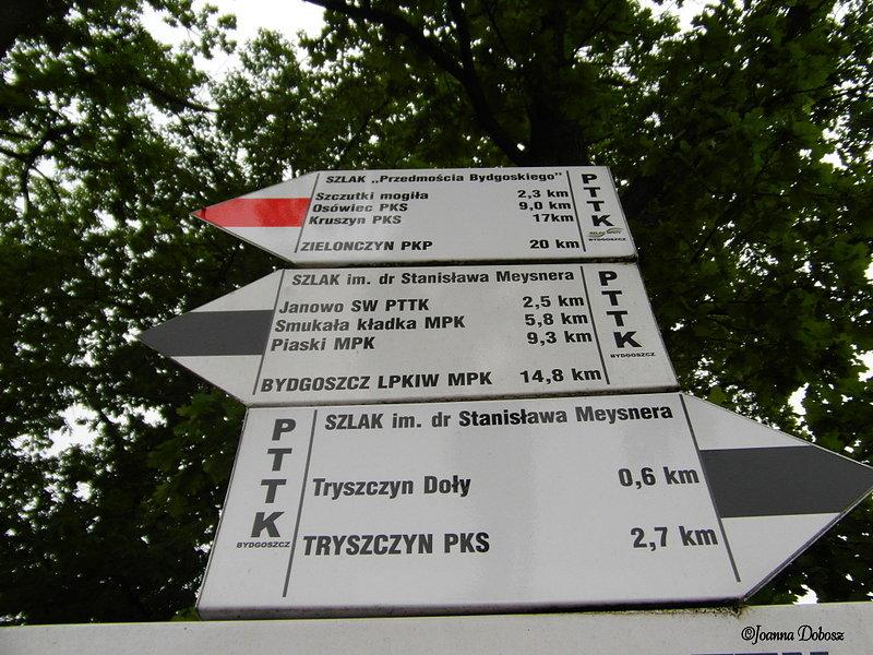 Szlaki niedaleko Bydgoszczy