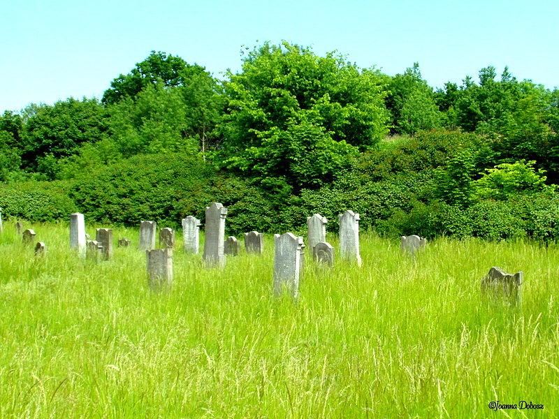 Cmentarz żydowski - Koronowo