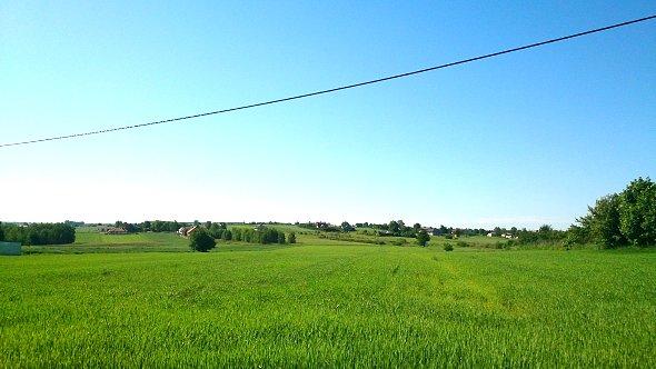 Błękit nad polami