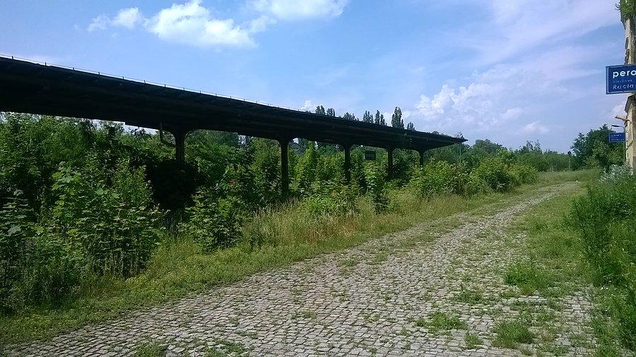 Wszystko juz dawno zarośnięte