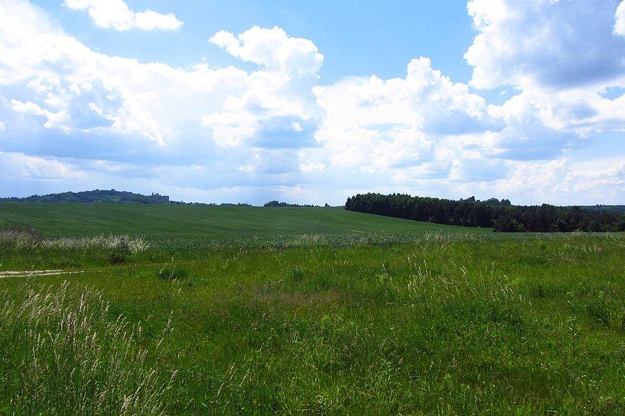 Panorama
