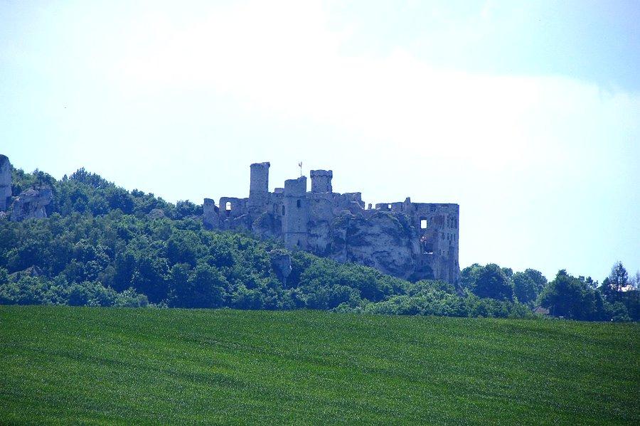 Zamek Ogrodzieniec