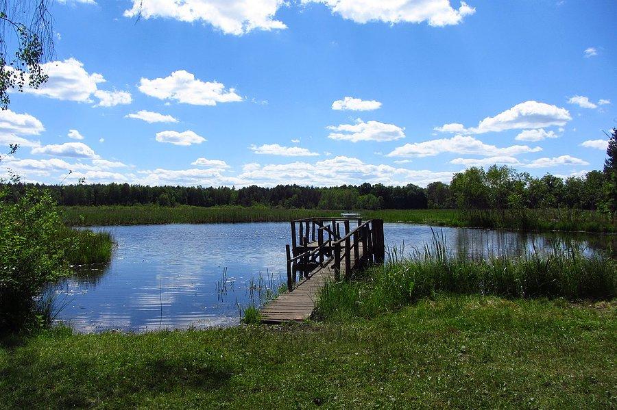 Widoczek na pomost