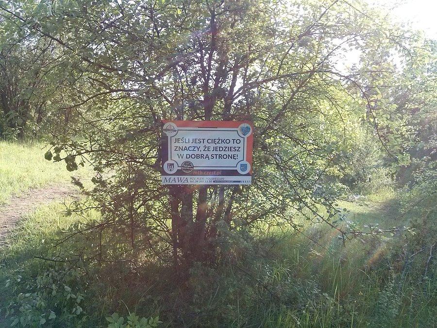 Jeden z zabawnych opisów