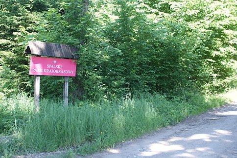 W Spalskim Parku Krajobrazowym :)