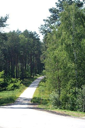 Szutrówka na wysokości stacji Dęba Opoczyńska
