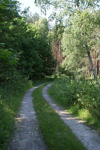 Na ściezce - zaznaczonej jako gruba krecha :), wszystko się zgadza ;)