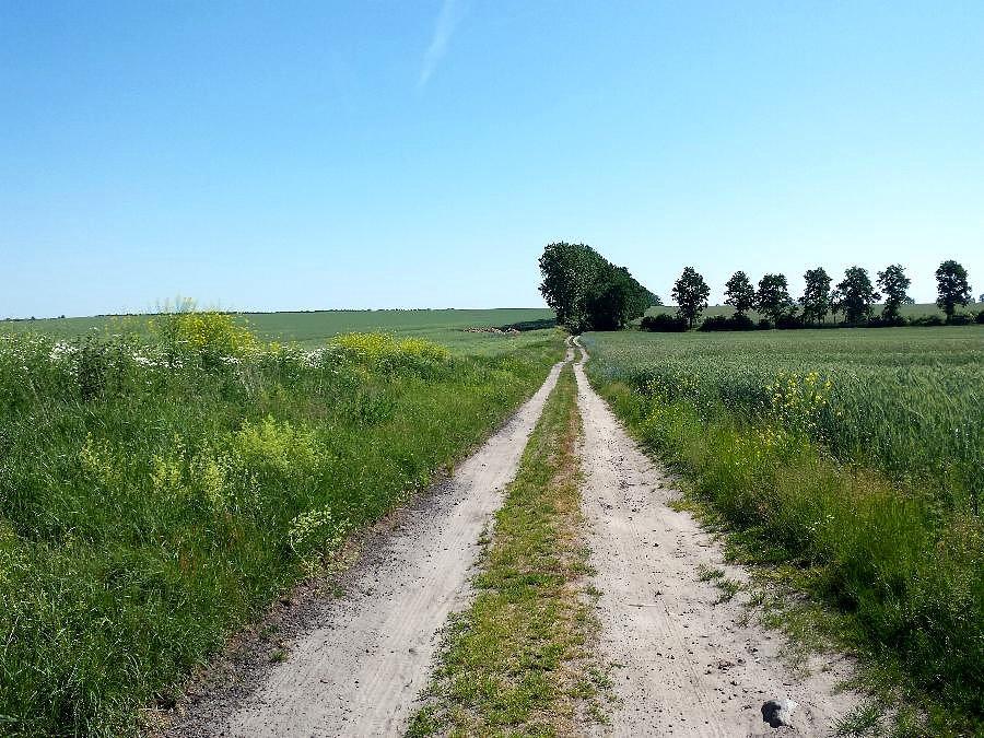 Michałowy skrót do Grabowa z Klępina