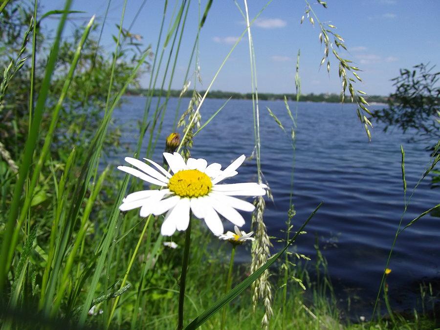 Spojrzenie na jezioro