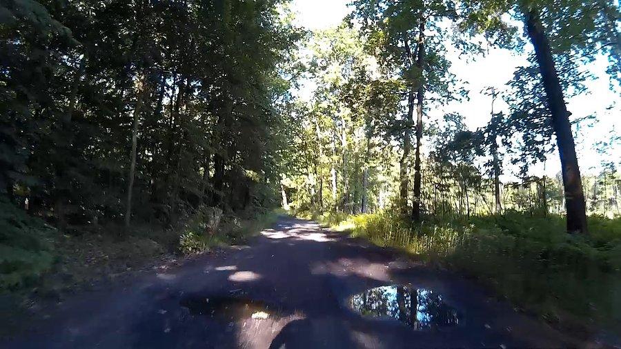 Jest jeszcze trochę wody w lesie
