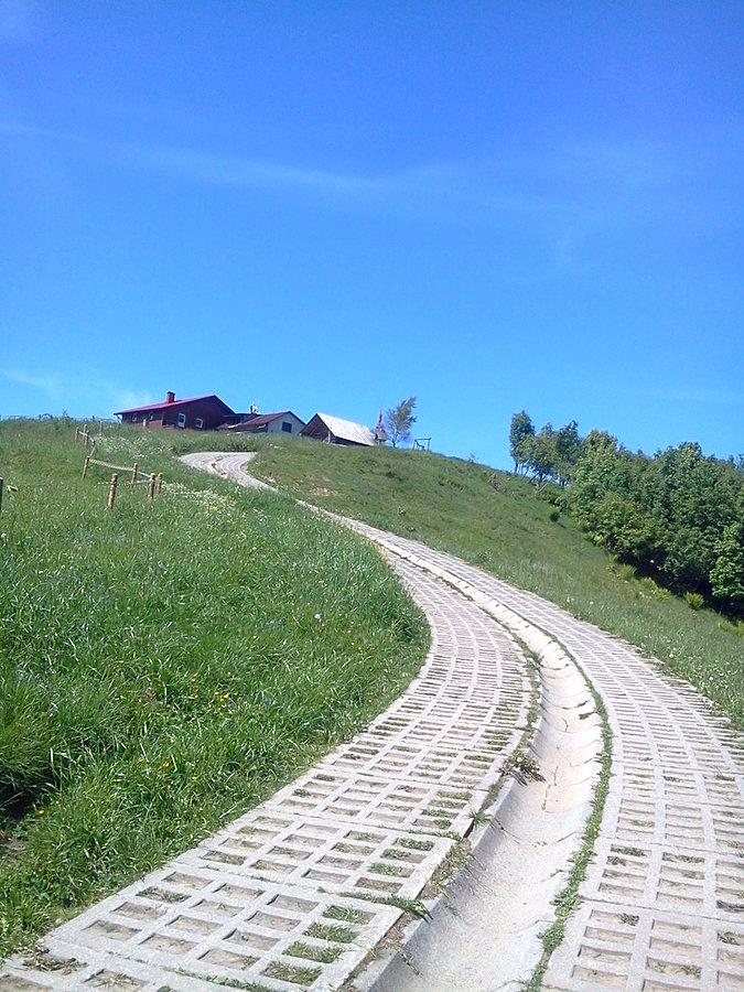 E tam takie bojki