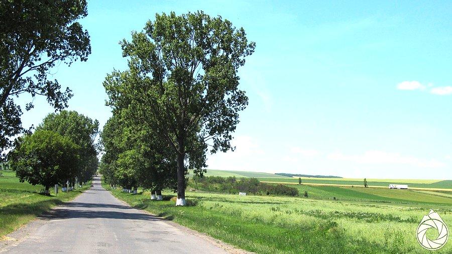 Na drodze do Miszkolca