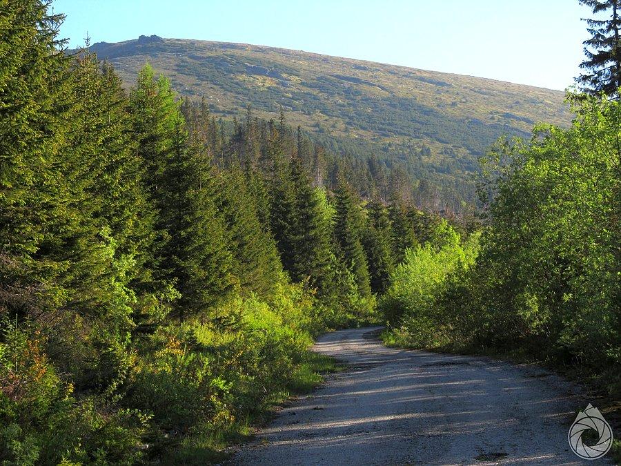 Rozpieprzony asfalt nad Posrednym sedlem