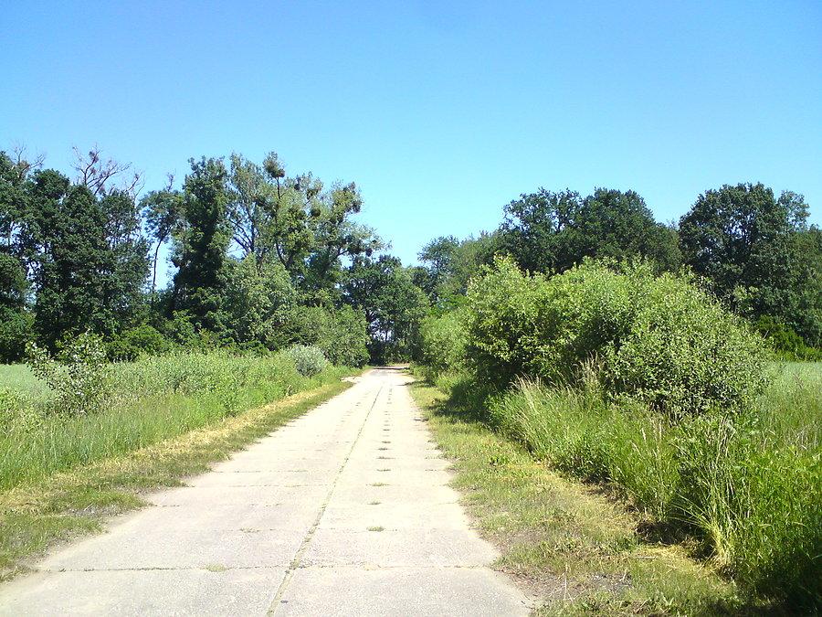 Czyściutkie niebo nad betonówką