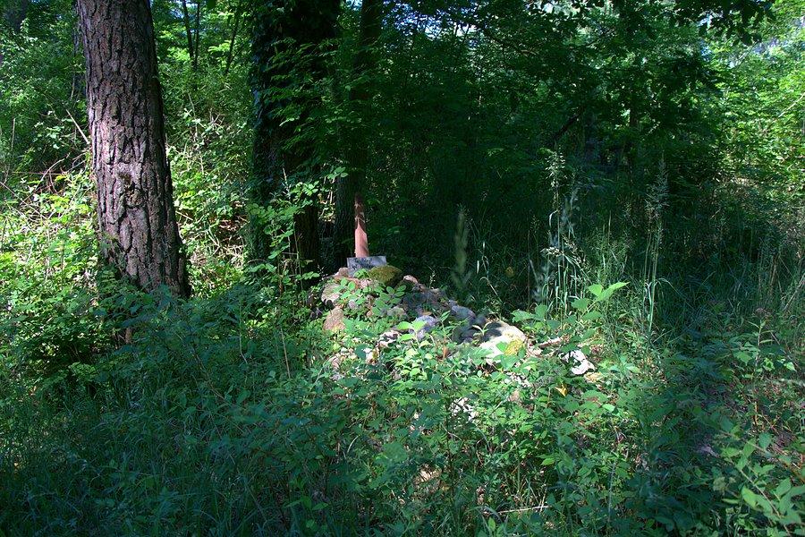 Mogiła kpt. Fiodora ladwo z drogi widoczna