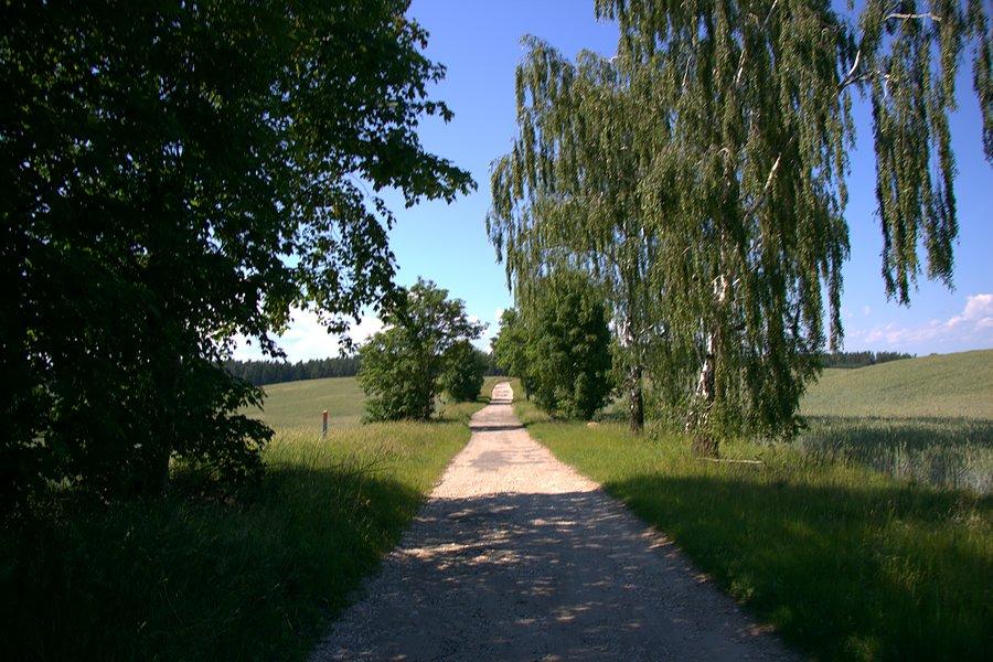 W drodze do Trzebienia