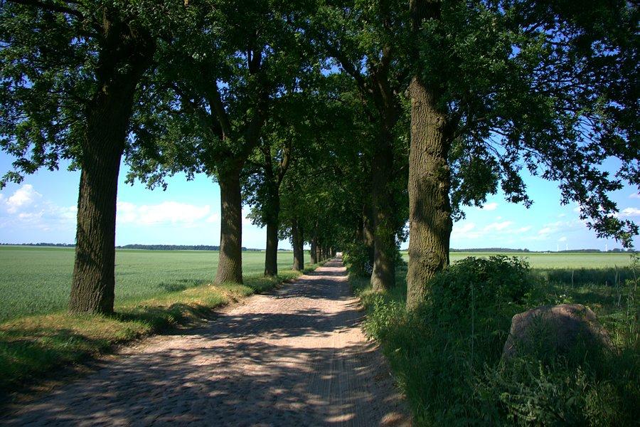Z Trzebienia do Rzeplina