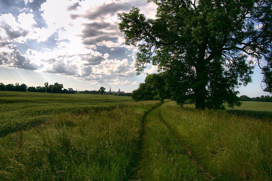 Taką dróżką do wiaduktu kolejowego