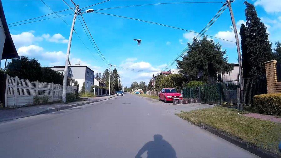 Ptaka cień