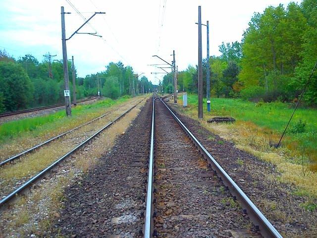 Linia kolejowa nr 12, widok w kierunku wschodnim tor lewy to łącznik od linii nr 8 od Warszawy, na torze prawym słabo widoczne odgałęzienie łącznika do linii nr 8 w kierunku Krakowa