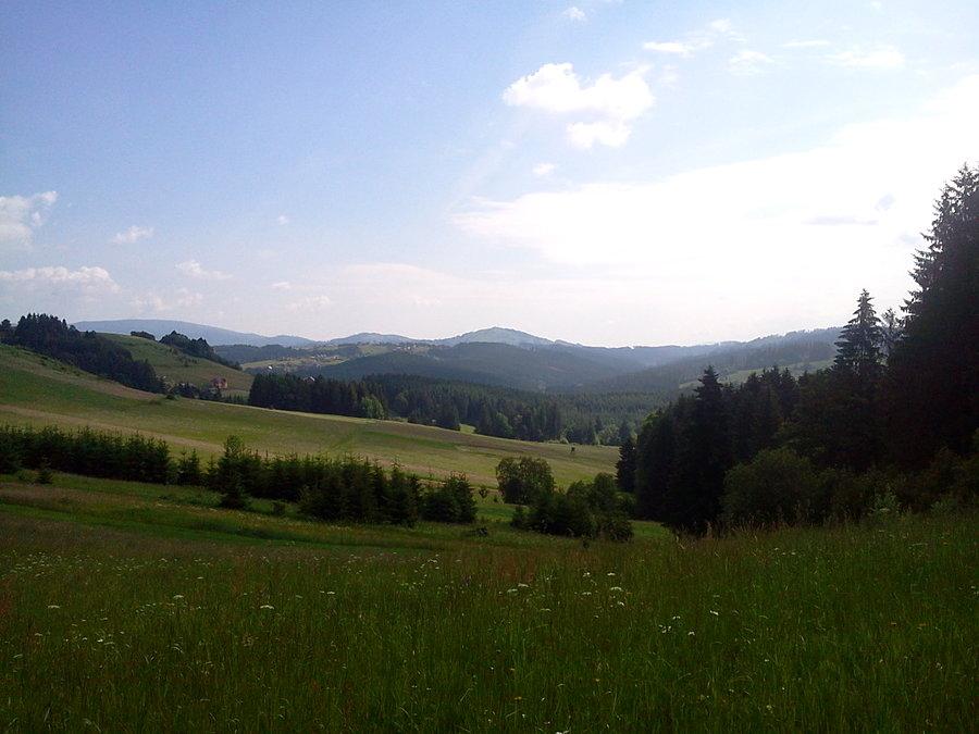 Ochodzita