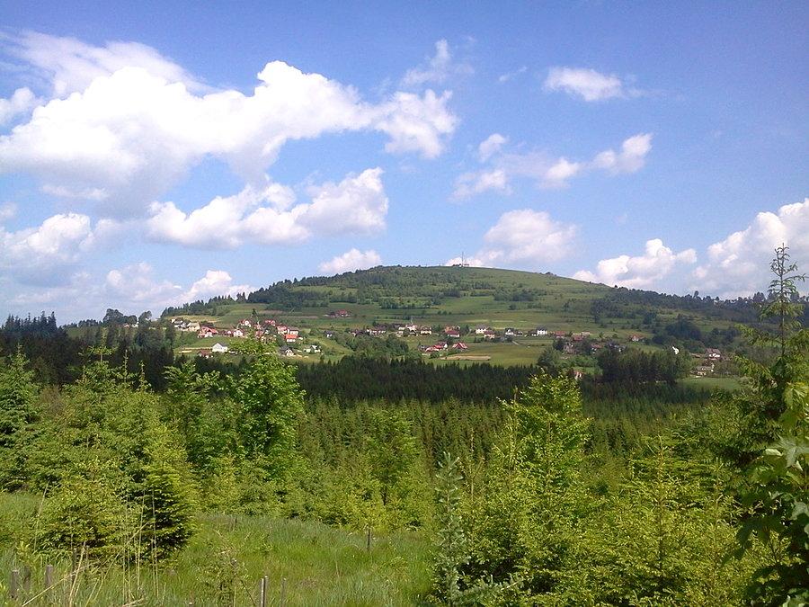 Ochodzita