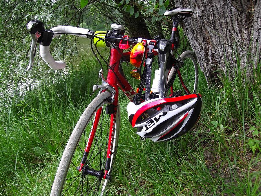 Haibike w krzakach