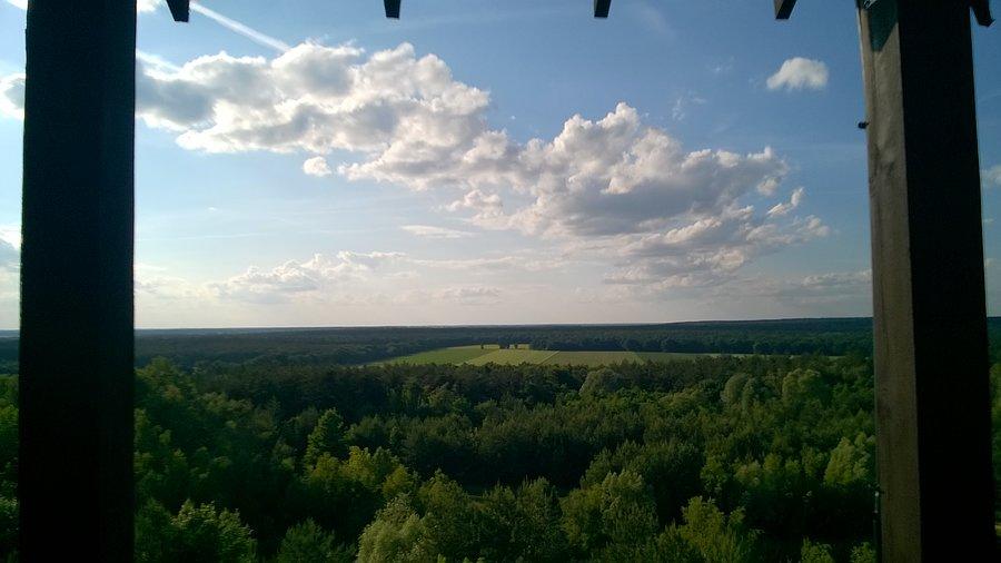 Widoczek z góry