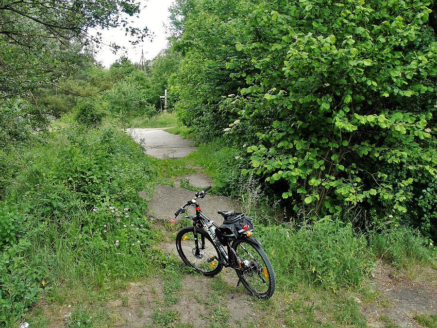 Rowerek - okolice Tczewa