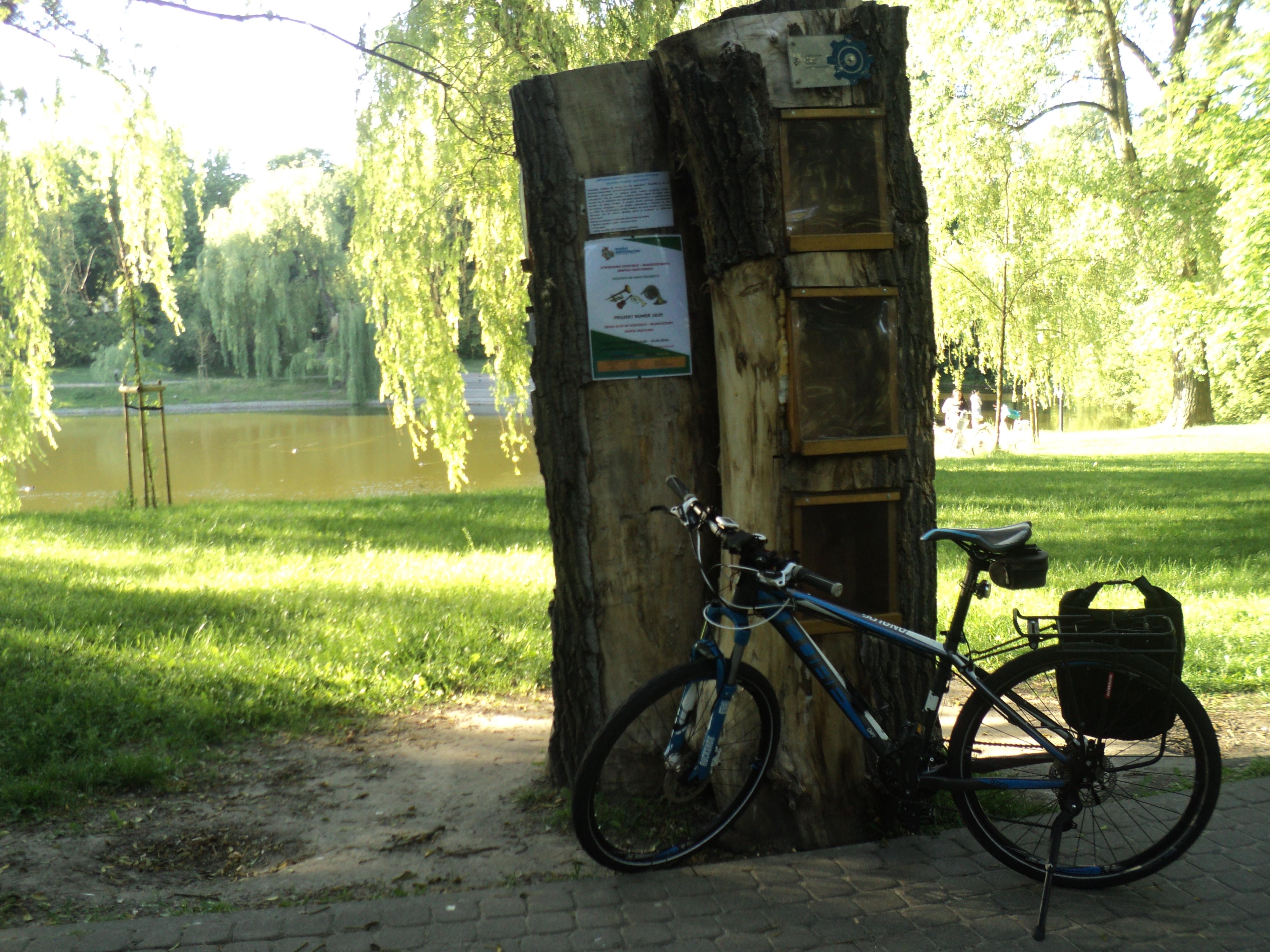 Pusta biblioteczka na Moczydle