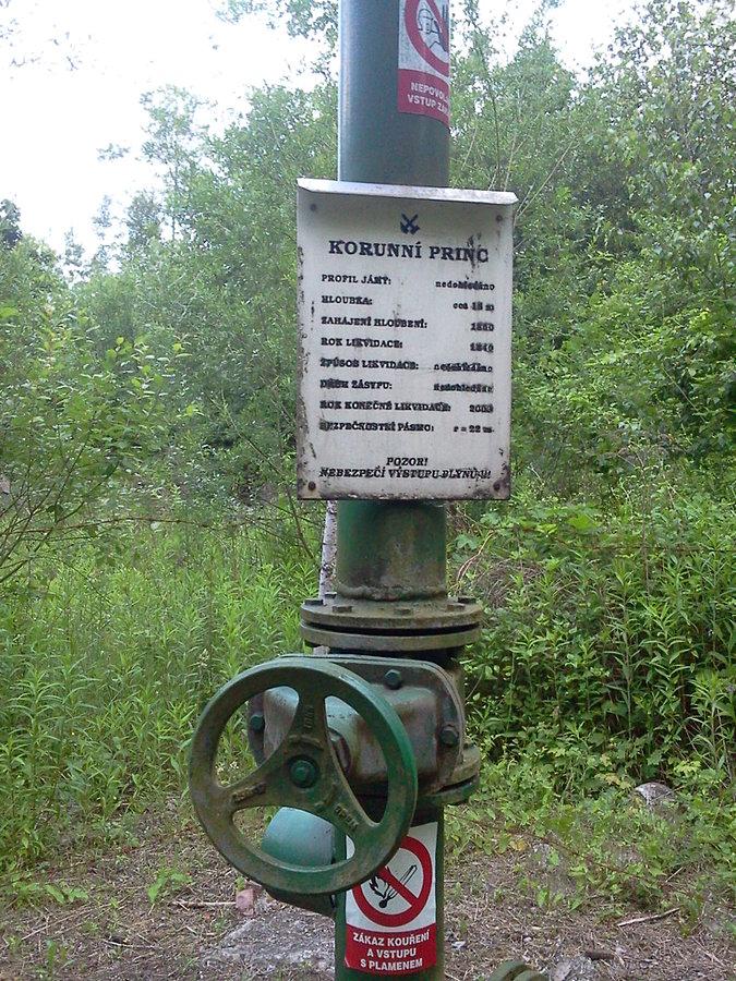 Korunni Princ