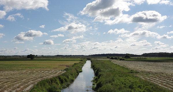 Widok z mostu w Dokudowie