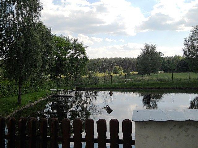 Ładny staw