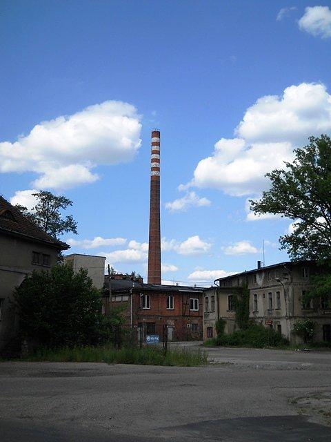 Znak rozpoznawczy