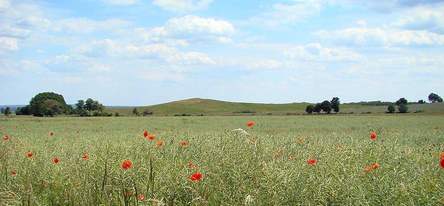 Prawie jak w Toskani. Między Kurowem Małym a Kwielicami