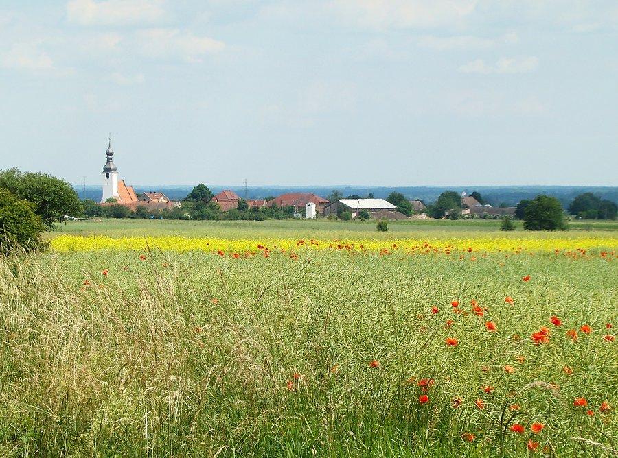 Panorama wsi Kwielice