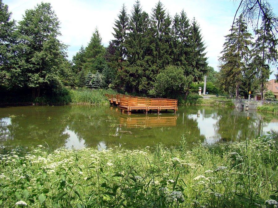 Jeden z kilku stawów w Kurowie Małym
