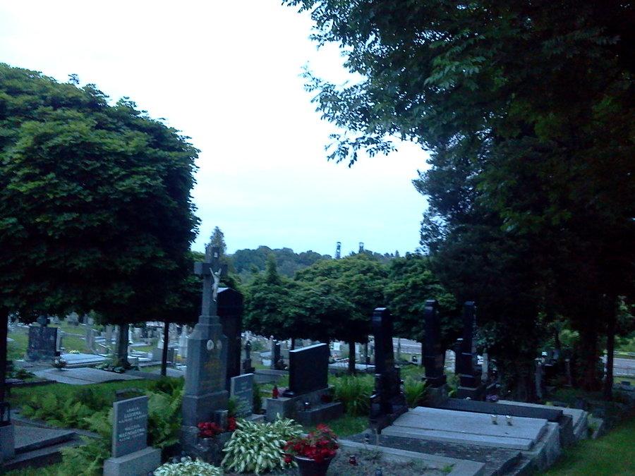 W oddali dwie wieże szybowe Gabrieli