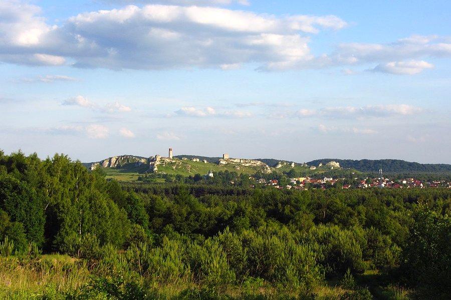 Olsztyn z oddali