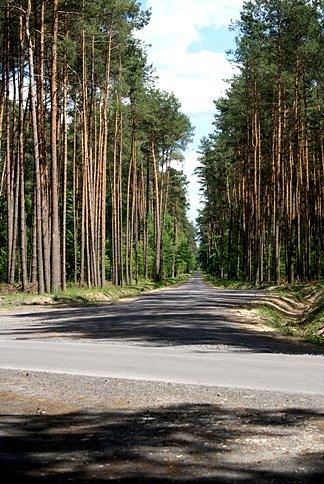 W tym miejscu mapa się pomyliła - jest równiutki ciemny szuterek :)
