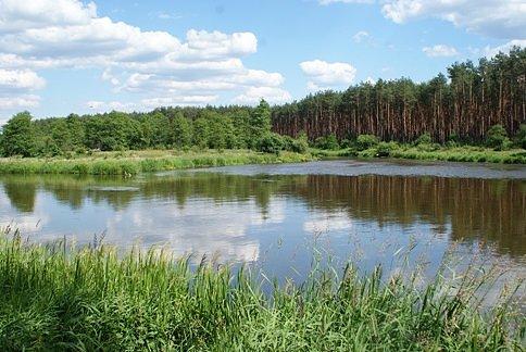 Widok na rzekę Pilica