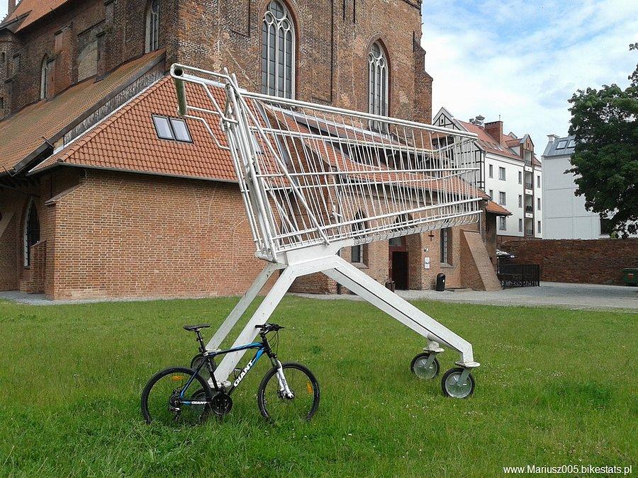 Wózek sklepowy w rozmiarze XXL - Elbląg