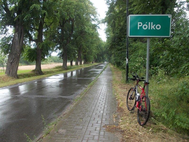 Deszczowa Aleja Lipowa
