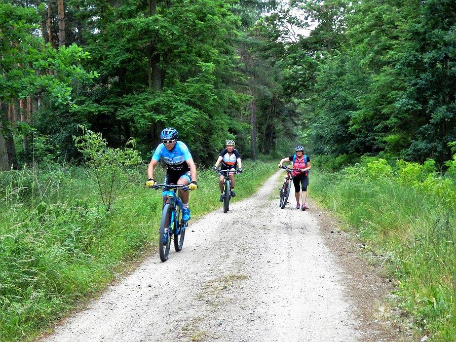 Popołudniowy objazd trasy Tczewskiego Crossu Rowerowego