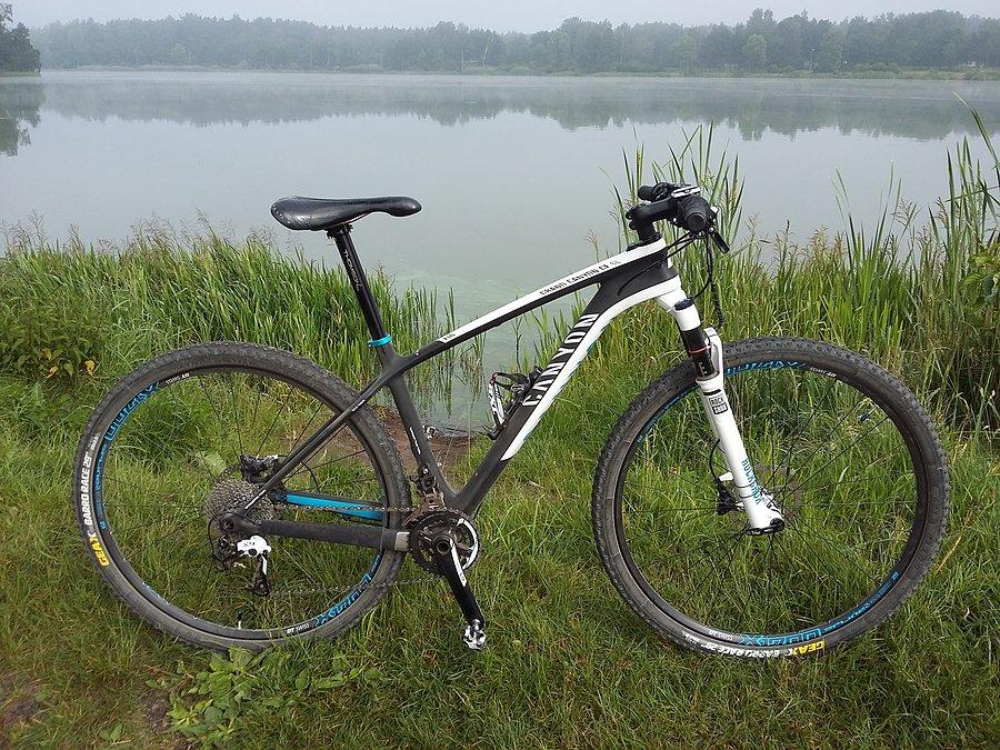 Kobyła się pasie nad zamglonym zalewem