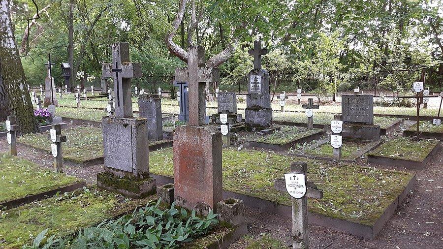 Cmentarz szpitalny Tworki