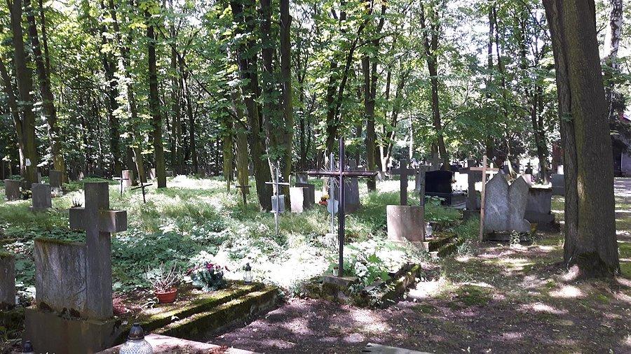 Klimatyczny cmentarz w lesie. Tworki