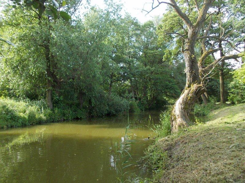 Nad Bystrzycą