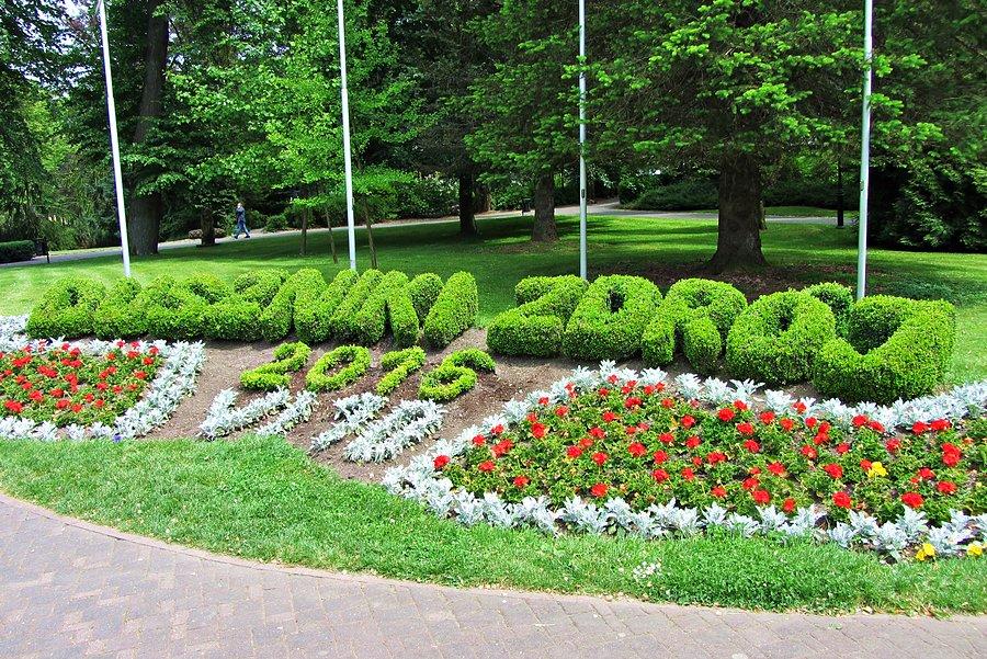 Duszniki Zdrój - napis z kwiatów