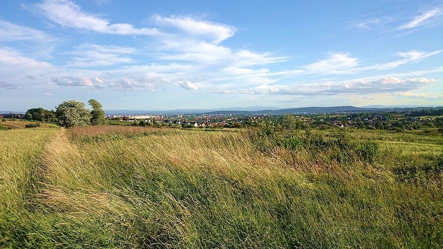 Widok na Kraków